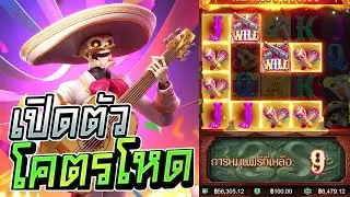 เปิดตัวโคตรโหด || Wild Bandito