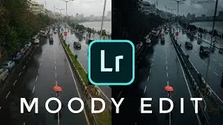 moody blue tones in adobe lightroom mobile