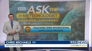 How to keep birds safe during cold fronts | Ask the Meteorologist