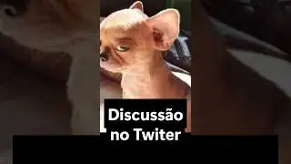 Discuss&atilde;o no Twitter#pets #shorts #Pinscher #foryou #pinscherlatindo #pinscherbravo #pinscherfilhote