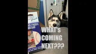 What's coming next on the channel!! Walgreens Prime Pack!