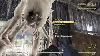 Fallout 76 ADHD An Evil Demons