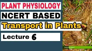 NCERT Ch-11 Transport in Plants Class XI Plant Physiology lecture 6 Boards