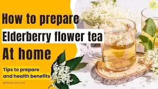 How to Prepare Elderberry Flower Tea at Home | Easy Recipe and Health Benefits | Elderflower tea