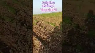 daily vlog challenge vlogs नंबर 21 🙏#viral #training #shortsfeed shorts #vlogger #vlogaftercollege