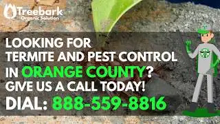 Orange County Termite Control and Pest Control Company