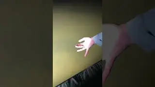 Catching Baby Aligator Gar By Hand