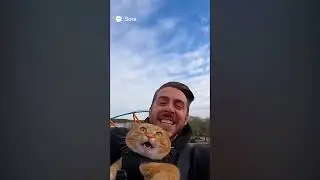 Los mejores momentos de Sora 2 Animals (Recopilaci&oacute;n de videos divertidos con IA)