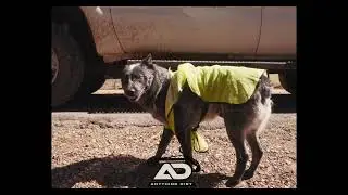 Anything Dirt LLC: Excavation, Utilities & Paving Highlights