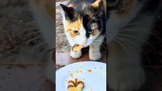 They Went Crazy for These Meat Rings! 🔥🍖