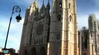FROCHA LEON ANTIGUO