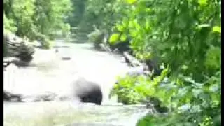 Codorus creek 6/30