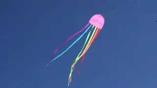 Jellyfish kite