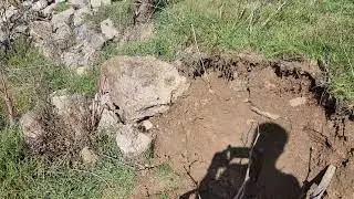 Hindi çiftliği başlangıcı
