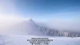 雪落时的遗嘱