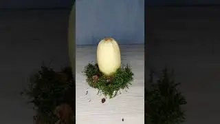 Zucchini Hedgehog | Diy made of natural materials | DIY for kindergarten