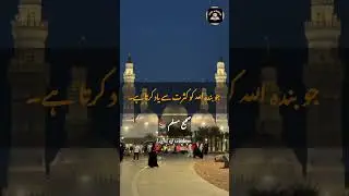 Life Changing Hadees Sharif | Islamic Quotes from Hazrat MUHAMMAD  ﷺ #islamic #quotes #motivation