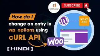 How do I change an option value in wp_options table with CURL and API |  