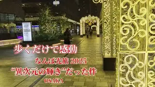 今年いちばん綺麗な夜  なんば光旅 2025× なんばパークス 夜景散歩