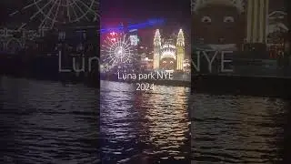 Passing Luna Park on NYE 2024 #lunapark #nye #cruise #nightview #foryoupage #foryou