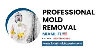 Mold Removal Miami FL | ☎ 877-735-3864 | Mold Removal and Remediation Services in Miami FL