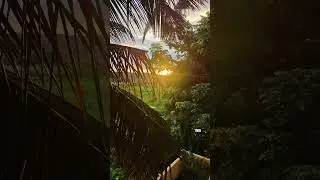 Nature 🌿🏞️🍃🍂 #karwar #goa #love #coconut #sunsetview #evening #sunrise #enjoy #exploremore #explore