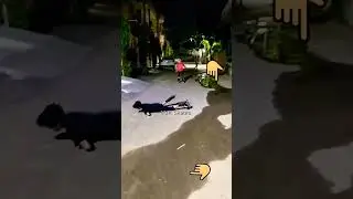 Road Accident video 😔📸. #skating #accidente #viralvideo #mahiskates #sadstatus #trending