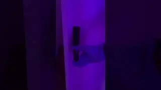 Grow  #plants  with  Nexsel Grow Chamber |  #ledgrowlights  | Multi #spectrum  #lights  |  India |