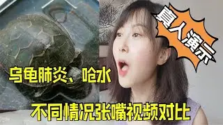 乌龟张嘴到底是呛水还是肺炎？肺炎和呛水的相似点，以及如何区分