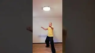 Wing Tzun Tutorial / Sifu Frank Kohlhase