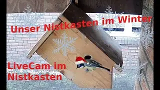 Livecam Nistkasten Meisen Schlafmeise - Heide - DE Birdbox 30. Dezember, 2025