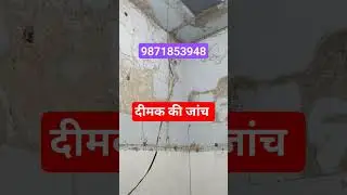 Best Termites Treatment, #CommercialPestControl #pest control #termitetreatment #delhi #noida
