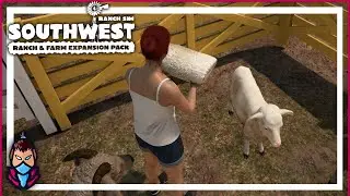 🍂 ESQUILANDO a las OVEJAS 🐑 #72 - Ranch Simulator: Southwest Ranch & Farm Gameplay Español
