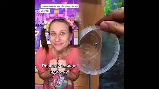 🤣👌👌👌2026 pov Must-Watch Crazy Clips Compilation #humor #fypシ #pov #fyp #foryou 😍😜 