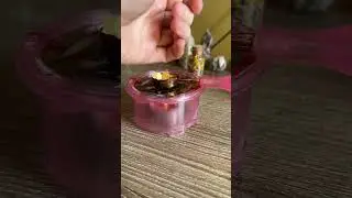 Making my Bee Happy spell jar! Up now in my shop!