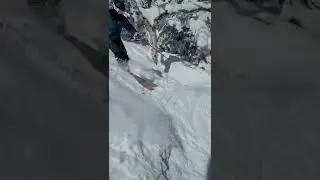 2020 Stowe Secret Glades
