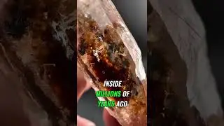 This Crystal Has OIL Inside!?
