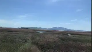 Suisun Bay Reserve Fleet