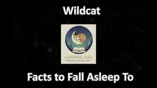 Wildcat: The Ancestral Hunter's Quiet Shadow, Facts to Fall Asleep To (Calm Sleep Narration)