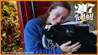 217 Today: Cow cuddles and farm-churned ice cream are helping Midwest dairies thrive despite low ...