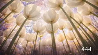 You&rsquo;re Aligned Now (Subliminal) | Desires Manifest Faster | 444