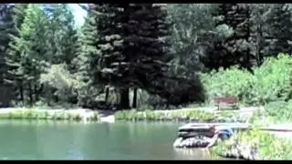 Summer 2011 -  Red River, NM (1 of 2)