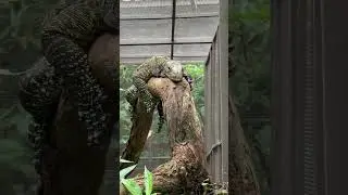 Some members of the Parque Reptilandia family ❤️