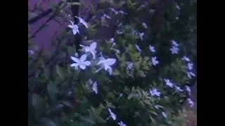 20110331
