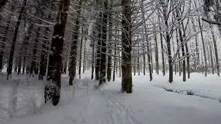 Escursione invernale appennino tosco emiliano | Live4Wild