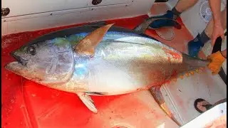 2020March17 Tuna Tuesday at the HorseShoe (East Lump) with Tyler, Kevin, and Marty