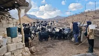 Life Continues in the Cold &ndash; Real Nomadic Daily Life