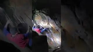 Frogger 8A Brione