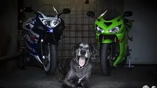 Ride or Stay Home #6 │Summer Love 2 │QUICKSHIFT