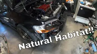 Evo Teardown, Again